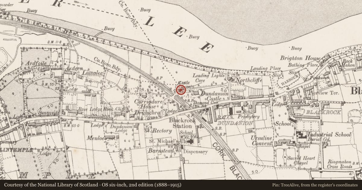 Ordnance Survey six-inch map, 2nd edition (1888–1915) covering the location of Castle - tower house, Dundanion, County Cork, with a pin at the register's coordinates