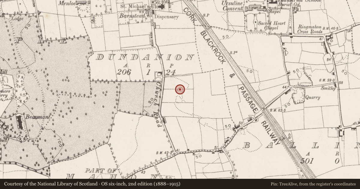 Ordnance Survey six-inch map, 2nd edition (1888–1915) covering the location of Quarry, Dundanion, County Cork, with a pin at the register's coordinates