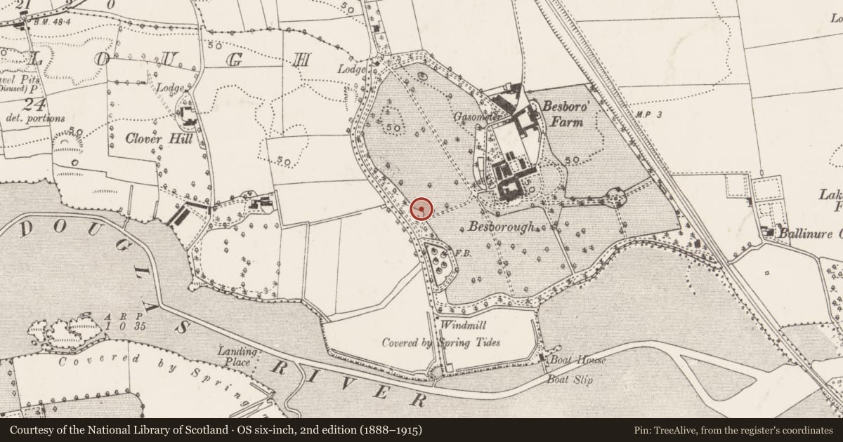 Ordnance Survey six-inch map, 2nd edition (1888–1915) covering the location of Icehouse, Ballinure, County Cork, with a pin at the register's coordinates