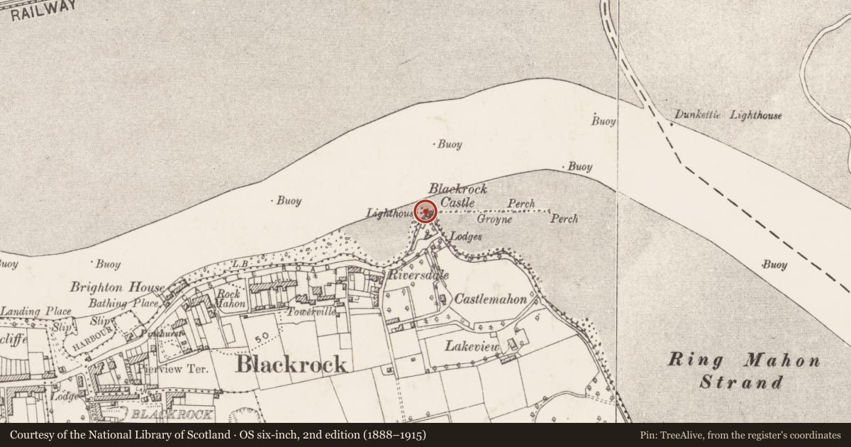 Ordnance Survey six-inch map, 2nd edition (1888–1915) covering the location of Castle - tower house, Mahon, County Cork, with a pin at the register's coordinates