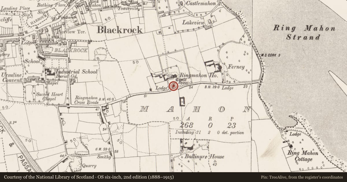 Ordnance Survey six-inch map, 2nd edition (1888–1915) covering the location of Castle - tower house, Mahon, County Cork, with a pin at the register's coordinates