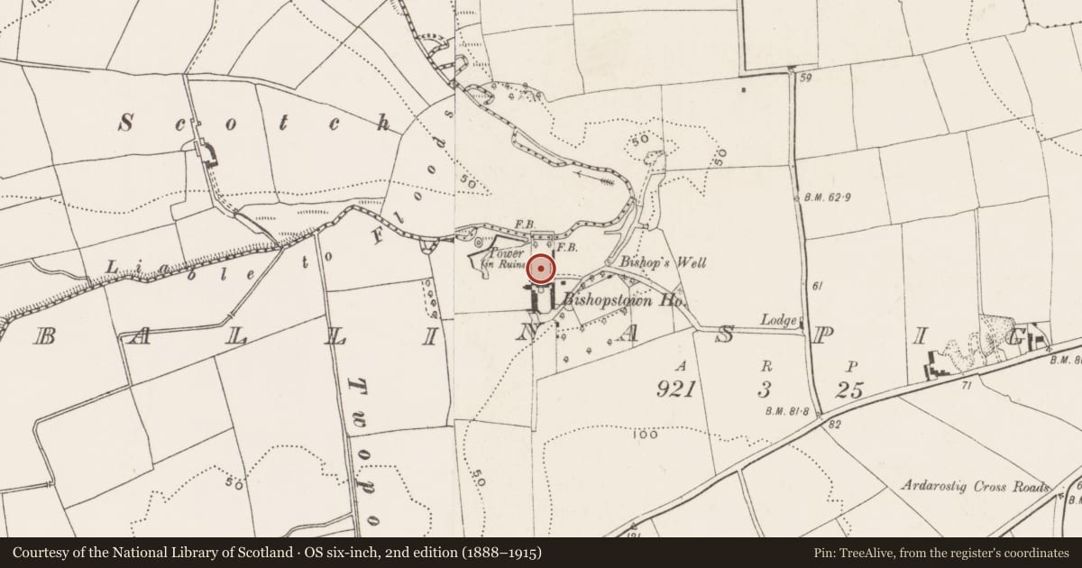 Ordnance Survey six-inch map, 2nd edition (1888–1915) covering the location of Designed landscape - belvedere, Ballinaspig More, County Cork, with a pin at the register's coordinates