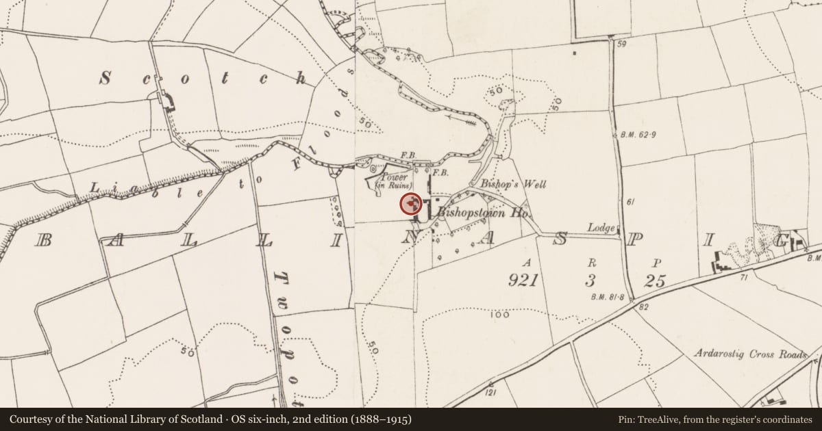 Ordnance Survey six-inch map, 2nd edition (1888–1915) covering the location of Church, Ballinaspig More, County Cork, with a pin at the register's coordinates