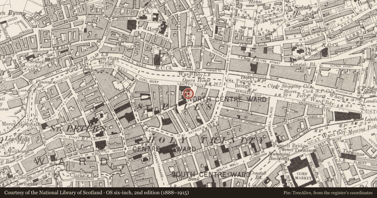 Ordnance Survey six-inch map, 2nd edition (1888–1915) covering the location of Custom house, Cork City, County Cork, with a pin at the register's coordinates