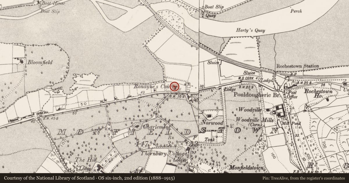Ordnance Survey six-inch map, 2nd edition (1888–1915) covering the location of House - fortified house, Monfieldstown, County Cork, with a pin at the register's coordinates