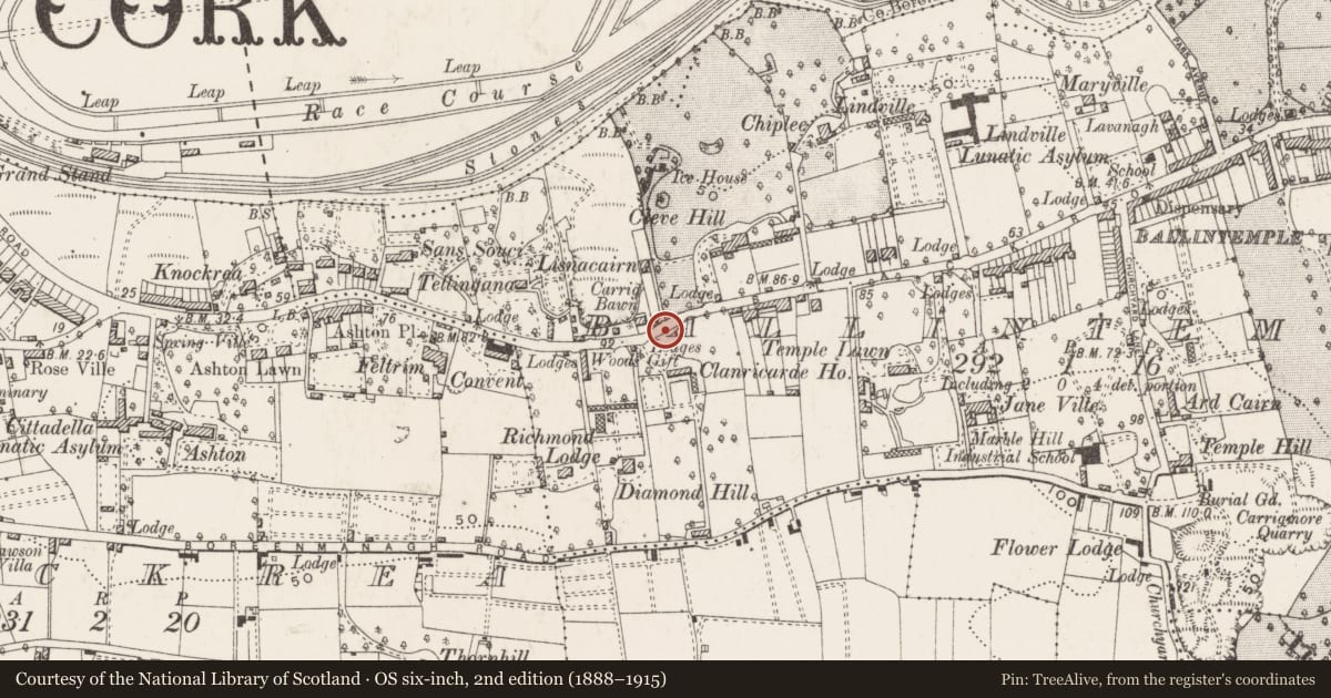 Ordnance Survey six-inch map, 2nd edition (1888–1915) covering the location of Souterrain, Ballintemple, County Cork, with a pin at the register's coordinates