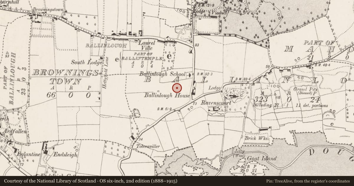 Ordnance Survey six-inch map, 2nd edition (1888–1915) covering the location of Standing stone, Ballinlough, County Cork, with a pin at the register's coordinates