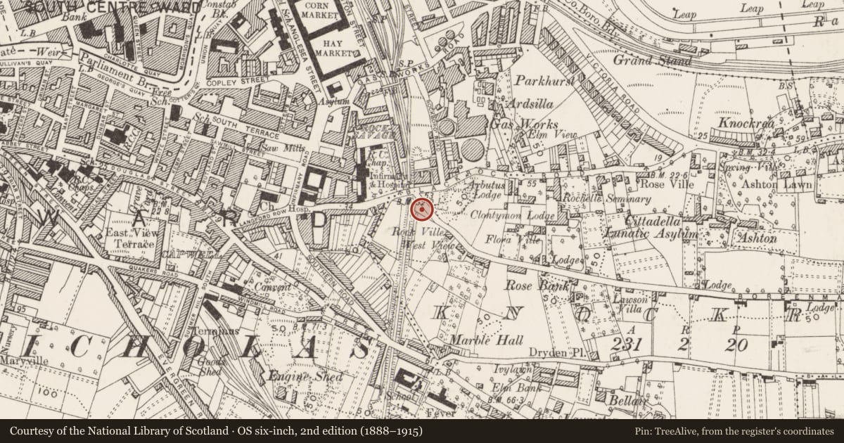 Ordnance Survey six-inch map, 2nd edition (1888–1915) covering the location of Boundary stone, Knockrea, County Cork, with a pin at the register's coordinates