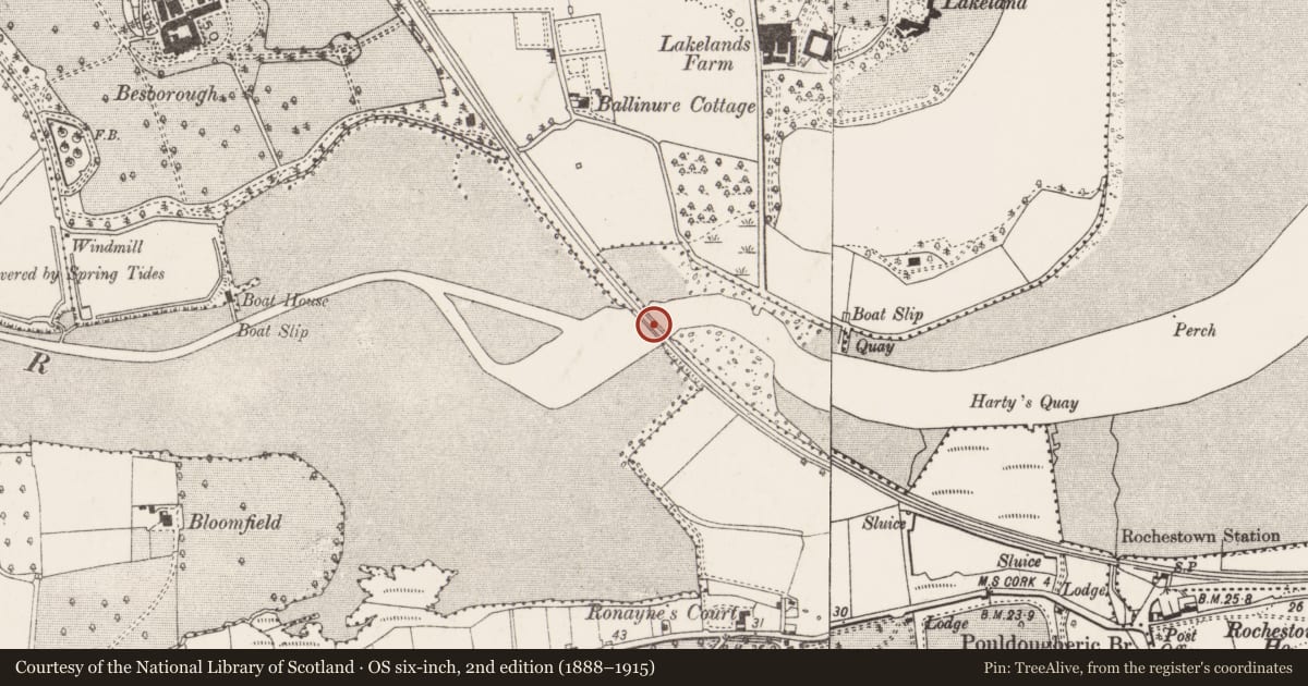 Ordnance Survey six-inch map, 2nd edition (1888–1915) covering the location of Railway bridge, Ballinure, Monfieldstown, County Cork, with a pin at the register's coordinates
