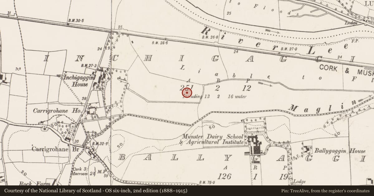 Ordnance Survey six-inch map, 2nd edition (1888–1915) covering the location of Earthwork, Inchigaggin, County Cork, with a pin at the register's coordinates