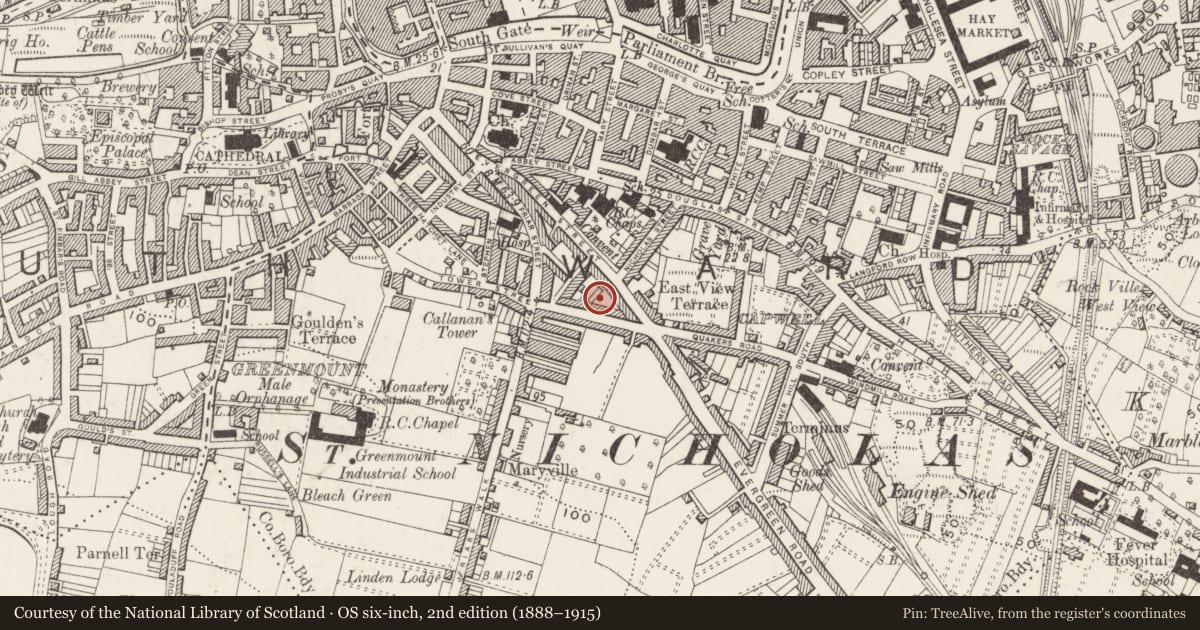 Ordnance Survey six-inch map, 2nd edition (1888–1915) covering the location of Fortification, Cork City, County Cork, with a pin at the register's coordinates