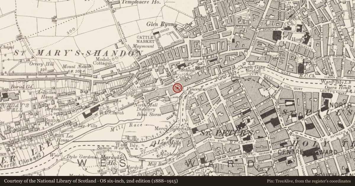 Ordnance Survey six-inch map, 2nd edition (1888–1915) covering the location of Ritual site - holy well, Cork City, County Cork, with a pin at the register's coordinates