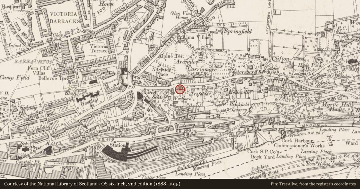 Ordnance Survey six-inch map, 2nd edition (1888–1915) covering the location of Country house, Ballinamought West/Montenotte, County Cork, with a pin at the register's coordinates
