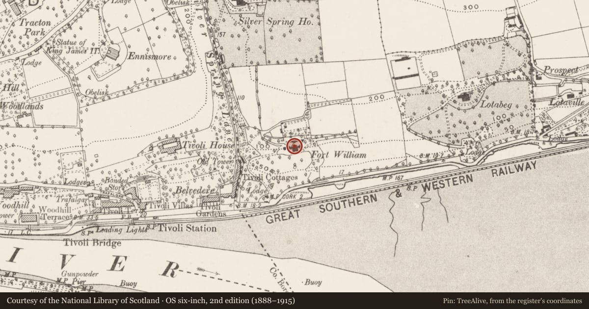 Ordnance Survey six-inch map, 2nd edition (1888–1915) covering the location of Country house, Lotabeg, County Cork, with a pin at the register's coordinates