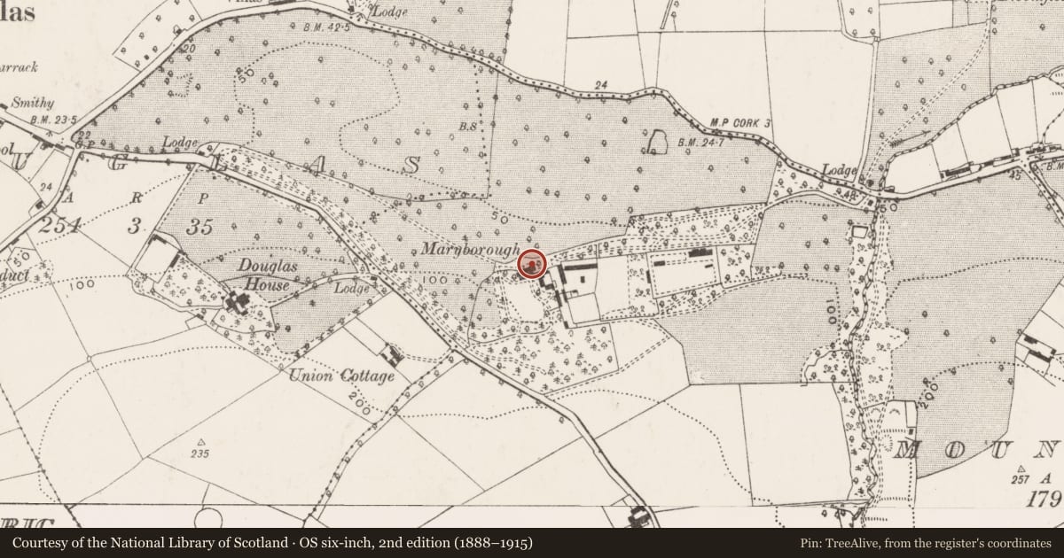 Ordnance Survey six-inch map, 2nd edition (1888–1915) covering the location of Country house, Maryborough, County Cork, with a pin at the register's coordinates