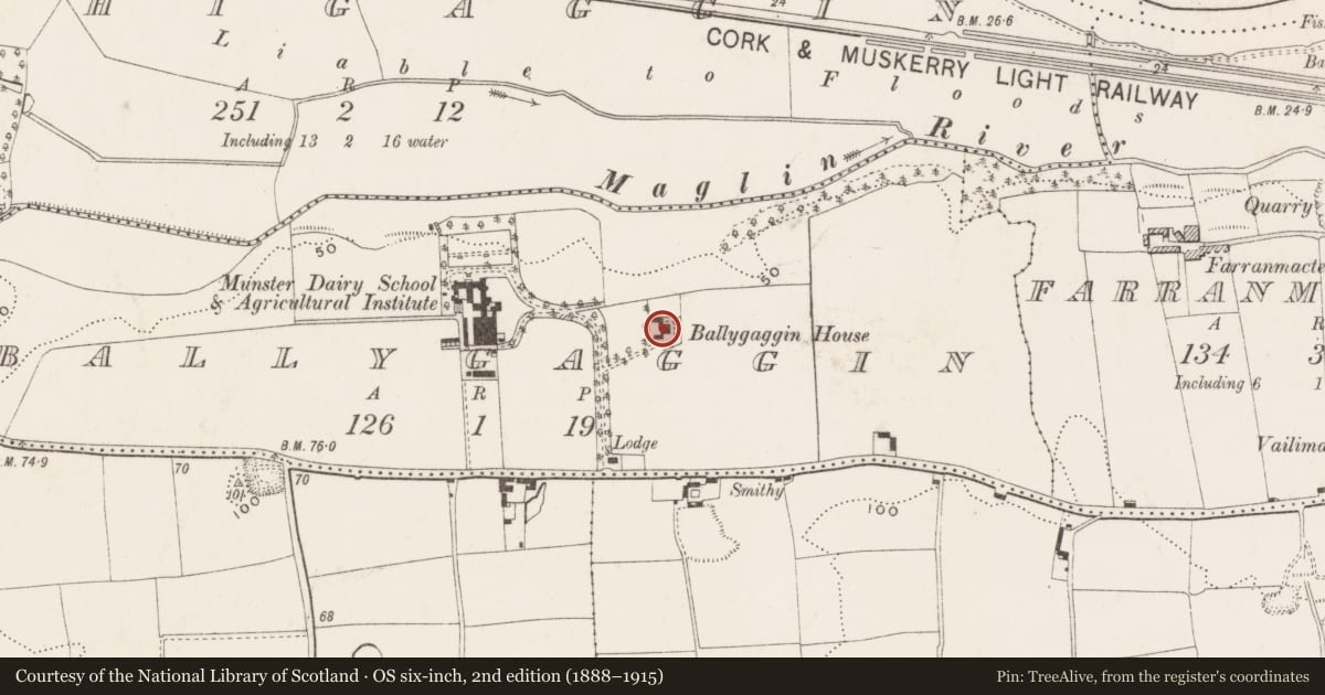 Ordnance Survey six-inch map, 2nd edition (1888–1915) covering the location of Country house, Ballygaggin, County Cork, with a pin at the register's coordinates