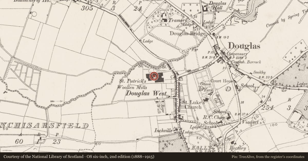 Ordnance Survey six-inch map, 2nd edition (1888–1915) covering the location of Mill - woollen, Grange, County Cork, with a pin at the register's coordinates