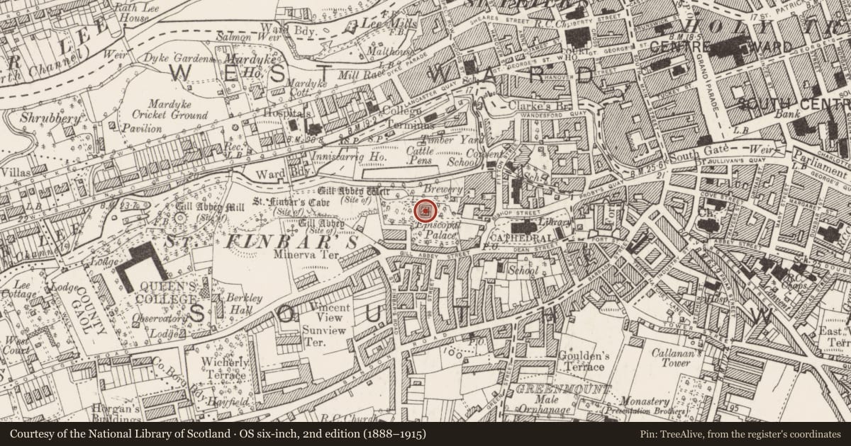 Ordnance Survey six-inch map, 2nd edition (1888–1915) covering the location of House - 16th/17th century, Cork City, County Cork, with a pin at the register's coordinates