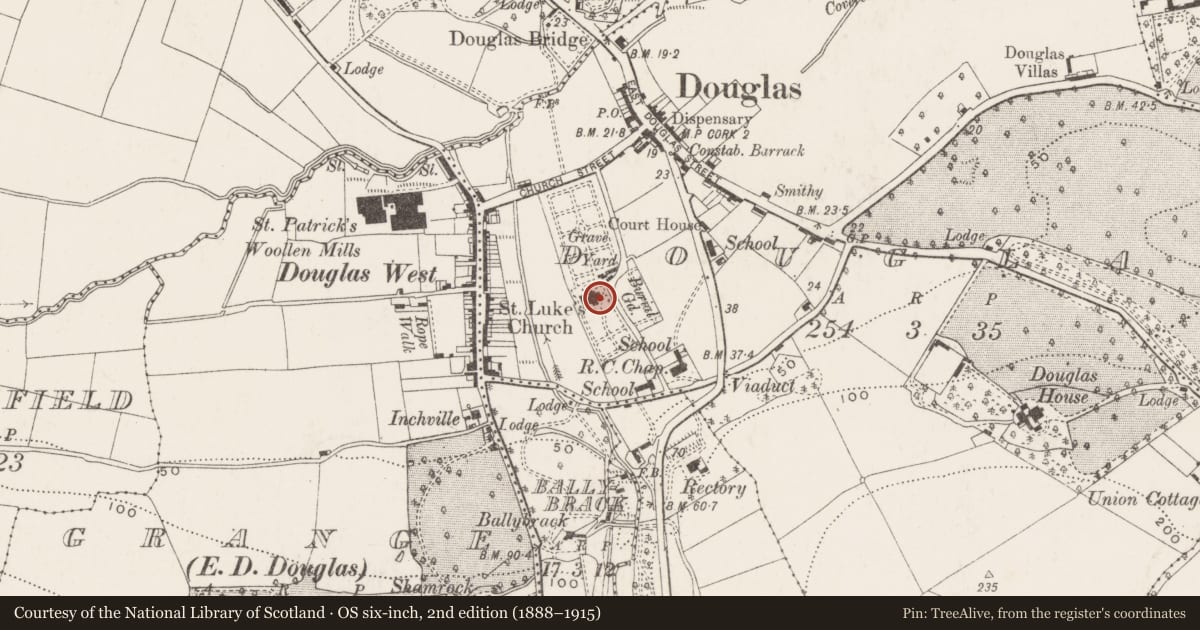 Ordnance Survey six-inch map, 2nd edition (1888–1915) covering the location of Graveyard, Douglas, County Cork, with a pin at the register's coordinates