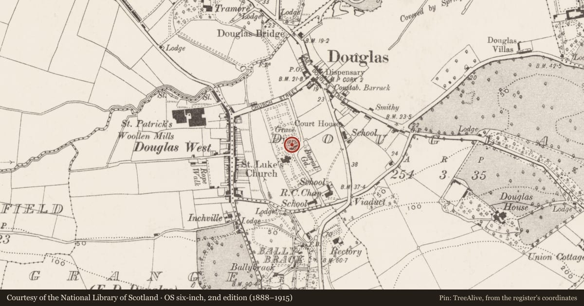 Ordnance Survey six-inch map, 2nd edition (1888–1915) covering the location of Graveyard, Douglas, County Cork, with a pin at the register's coordinates