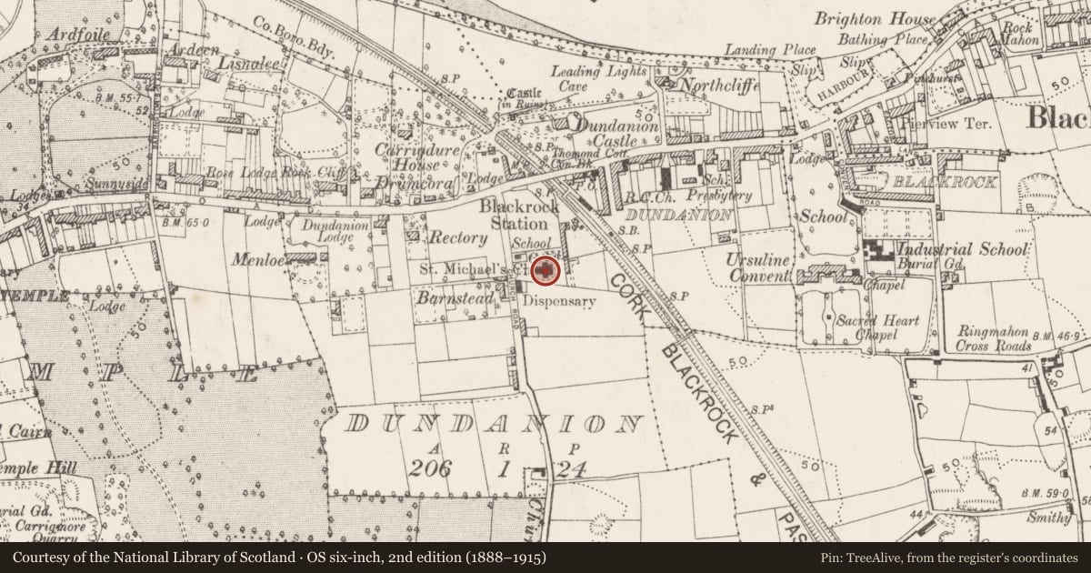 Ordnance Survey six-inch map, 2nd edition (1888–1915) covering the location of Graveyard, Dundanion, County Cork, with a pin at the register's coordinates