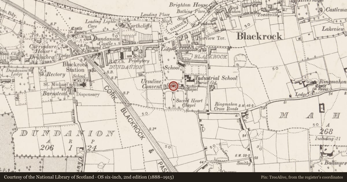 Ordnance Survey six-inch map, 2nd edition (1888–1915) covering the location of Country house, Ballinure, County Cork, with a pin at the register's coordinates