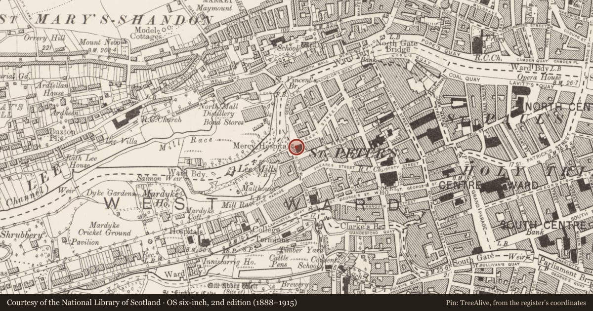 Ordnance Survey six-inch map, 2nd edition (1888–1915) covering the location of Mansion house, Cork City, County Cork, with a pin at the register's coordinates
