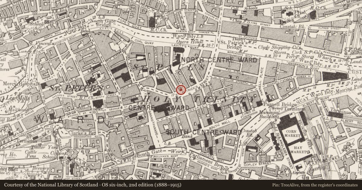 Ordnance Survey six-inch map, 2nd edition (1888–1915) covering the location of Graveyard, Cork City, County Cork, with a pin at the register's coordinates