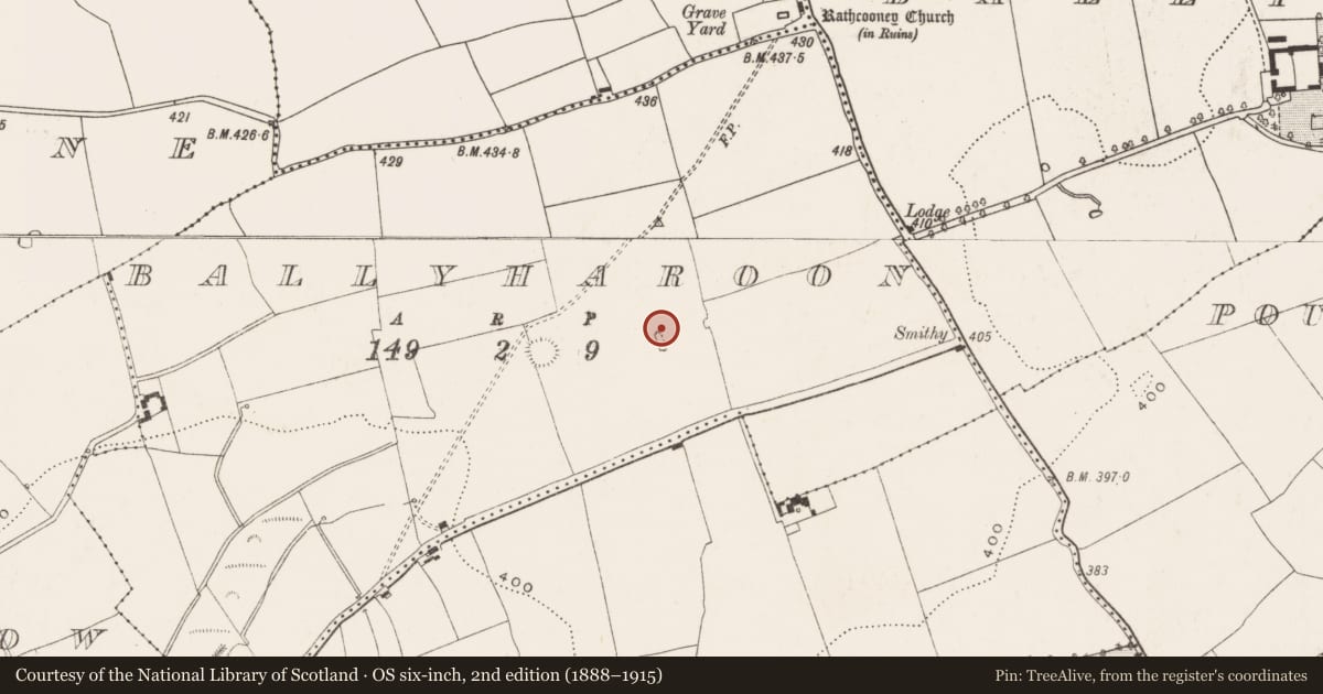 Ordnance Survey six-inch map, 2nd edition (1888–1915) covering the location of House - 16th/17th century, Ballyharoon, County Cork, with a pin at the register's coordinates