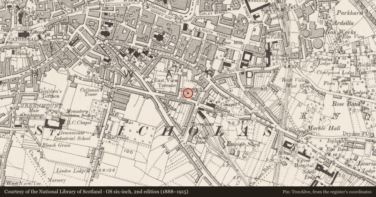 Ordnance Survey six-inch map, 2nd edition (1888–1915) covering the location of Burial ground, Cork City, County Cork, with a pin at the register's coordinates