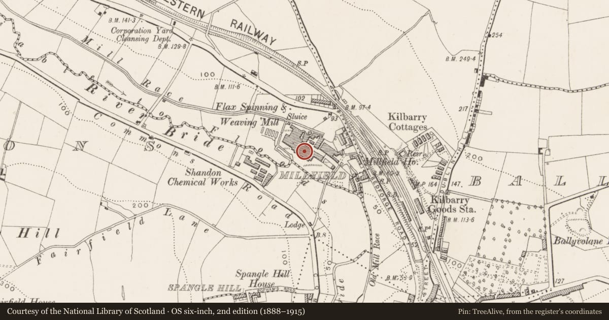 Ordnance Survey six-inch map, 2nd edition (1888–1915) covering the location of Mill - flax, Kilnap, County Cork, with a pin at the register's coordinates