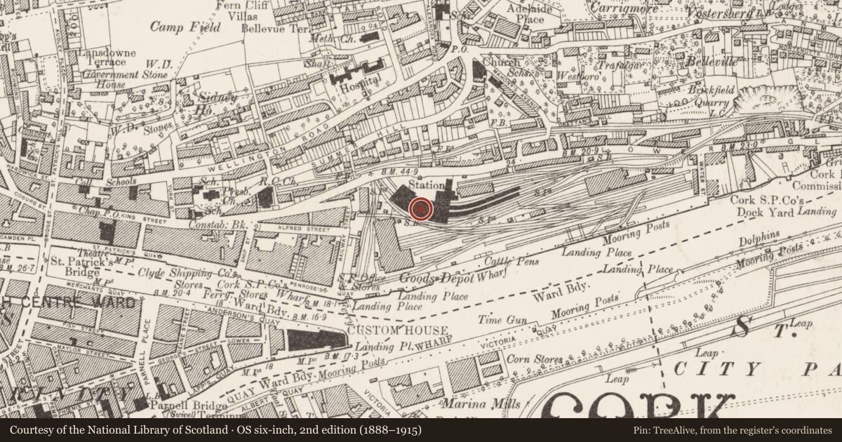 Ordnance Survey six-inch map, 2nd edition (1888–1915) covering the location of Railway station, Ballinamought West/Montenotte, County Cork, with a pin at the register's coordinates