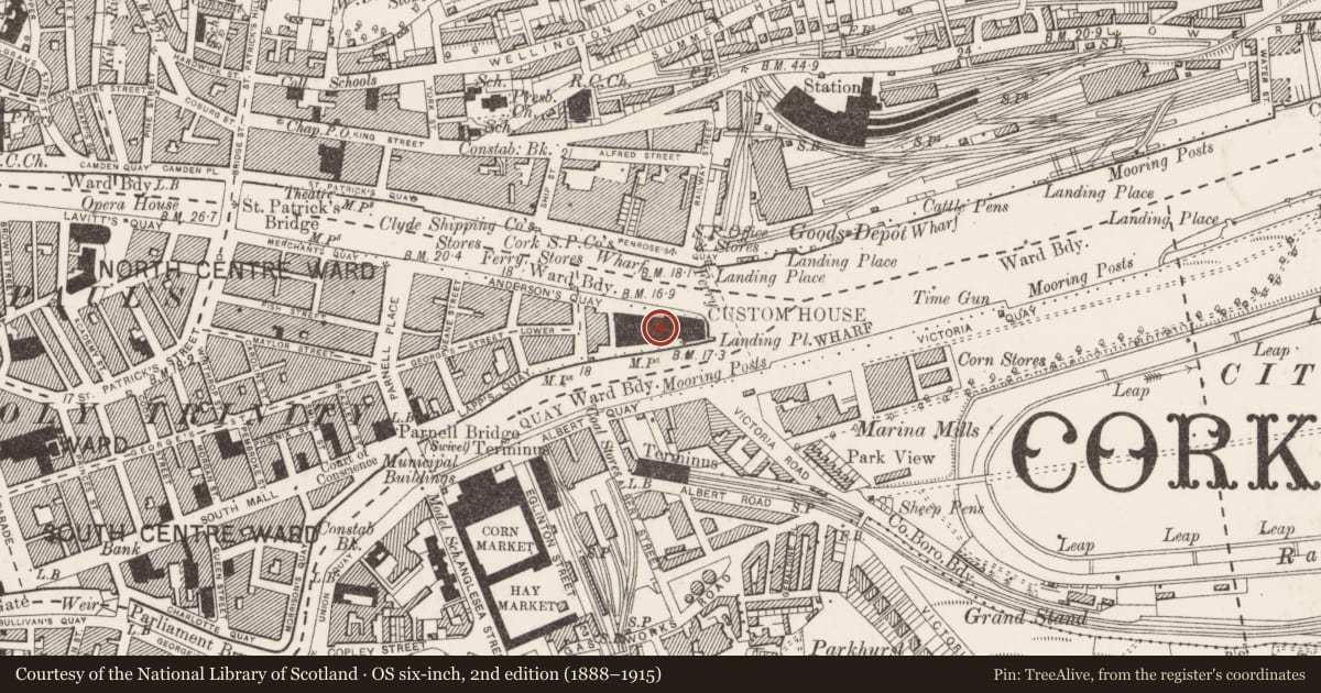 Ordnance Survey six-inch map, 2nd edition (1888–1915) covering the location of Custom house, Cork City, County Cork, with a pin at the register's coordinates