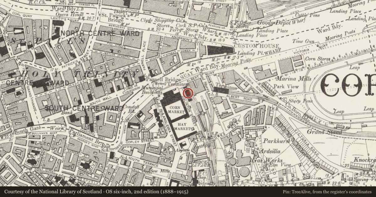 Ordnance Survey six-inch map, 2nd edition (1888–1915) covering the location of Railway station, Cork City, County Cork, with a pin at the register's coordinates