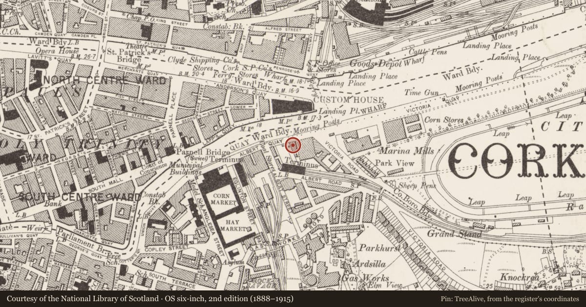 Ordnance Survey six-inch map, 2nd edition (1888–1915) covering the location of Railway station, Cork City, County Cork, with a pin at the register's coordinates