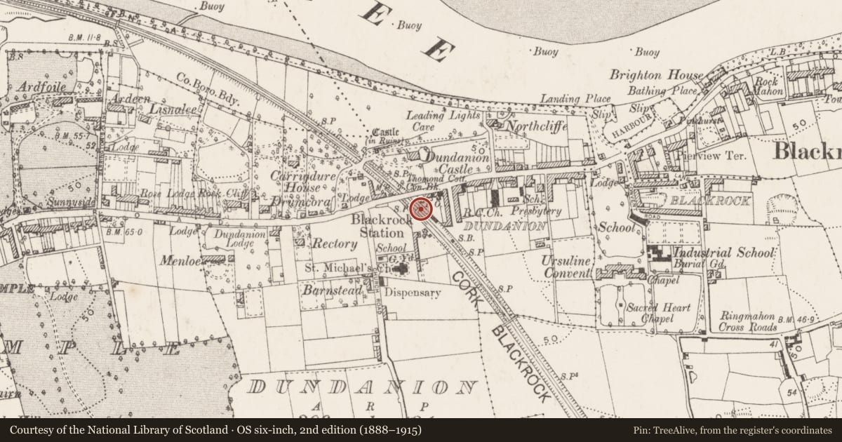 Ordnance Survey six-inch map, 2nd edition (1888–1915) covering the location of Railway station, Dundanion, County Cork, with a pin at the register's coordinates