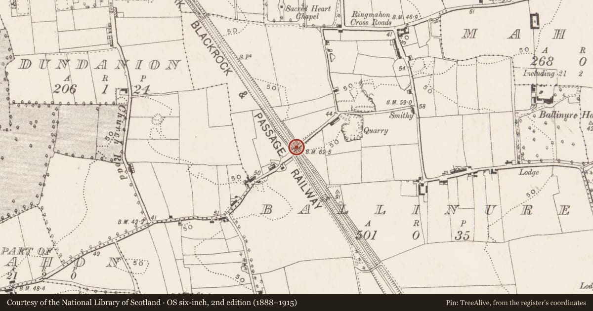 Ordnance Survey six-inch map, 2nd edition (1888–1915) covering the location of Railway bridge, Ballinure, County Cork, with a pin at the register's coordinates
