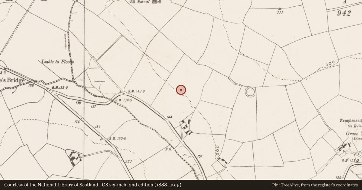 Ordnance Survey six-inch map, 2nd edition (1888–1915) covering the location of Standing stone, Killeens, County Cork, with a pin at the register's coordinates