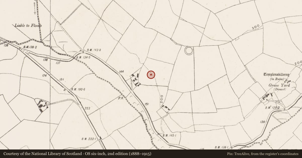 Ordnance Survey six-inch map, 2nd edition (1888–1915) covering the location of Standing stone, Killeens, County Cork, with a pin at the register's coordinates