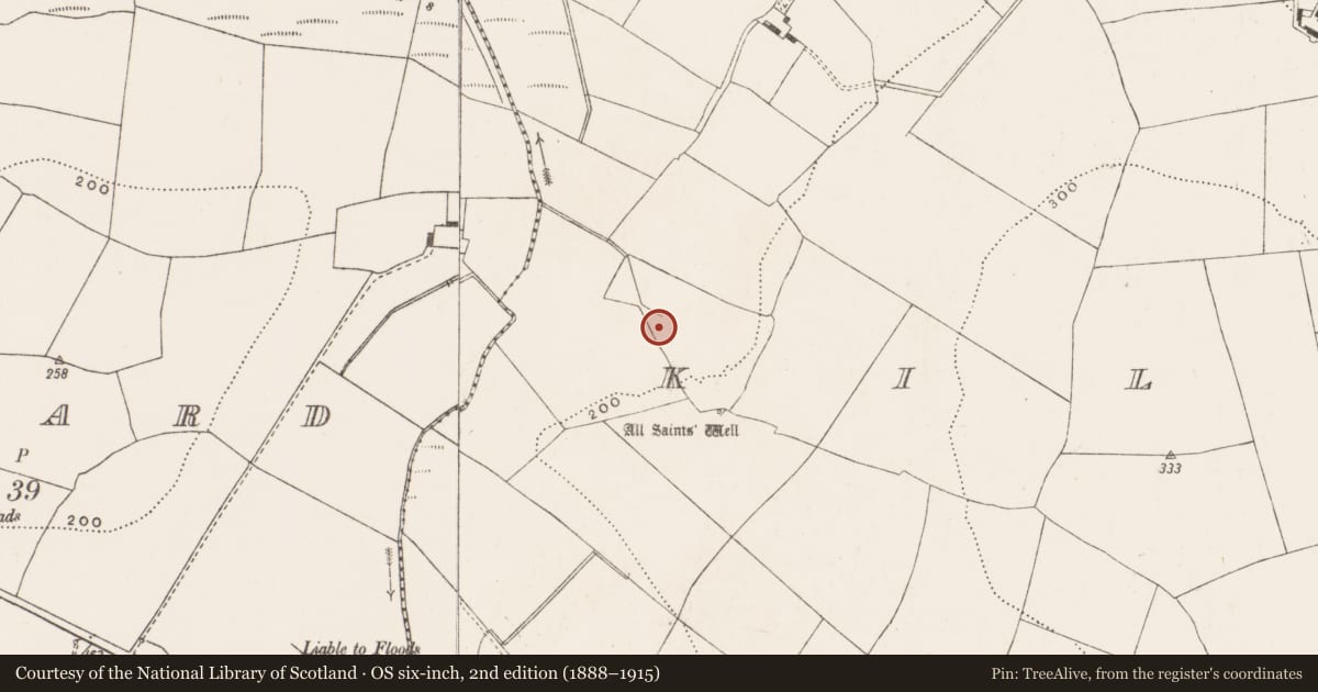Ordnance Survey six-inch map, 2nd edition (1888–1915) covering the location of Standing stone, Killeens, County Cork, with a pin at the register's coordinates
