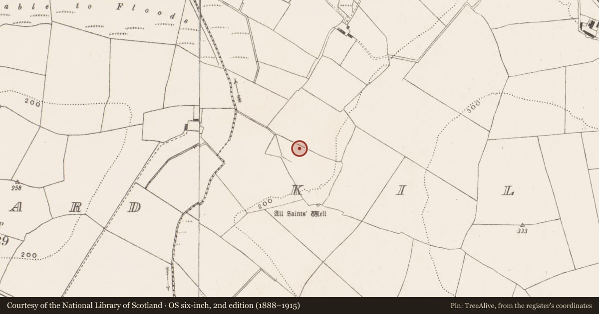 Ordnance Survey six-inch map, 2nd edition (1888–1915) covering the location of Standing stone, Killeens, County Cork, with a pin at the register's coordinates
