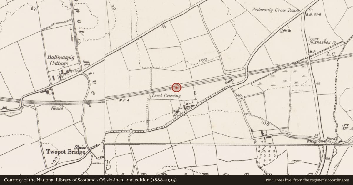 Ordnance Survey six-inch map, 2nd edition (1888–1915) covering the location of Burnt mound, Ballinaspig More, County Cork, with a pin at the register's coordinates