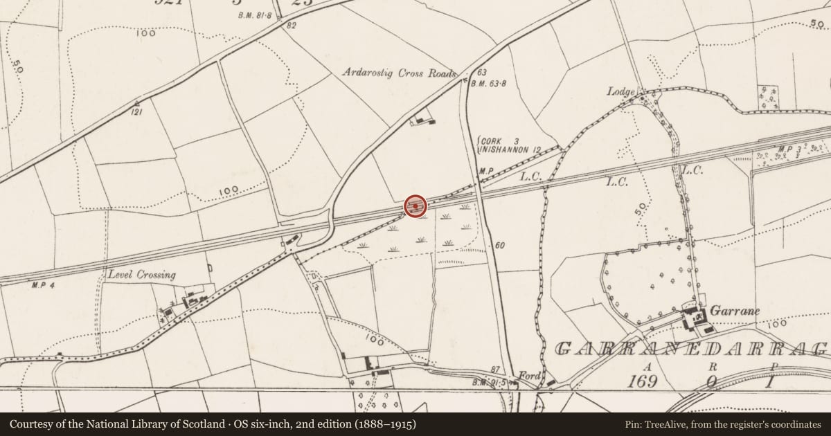 Ordnance Survey six-inch map, 2nd edition (1888–1915) covering the location of Fulacht fia, Ballinaspig More, County Cork, with a pin at the register's coordinates