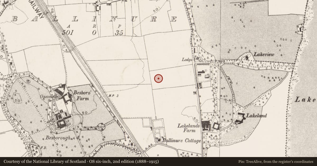 Ordnance Survey six-inch map, 2nd edition (1888–1915) covering the location of Excavation - miscellaneous, Ballinure, County Cork, with a pin at the register's coordinates