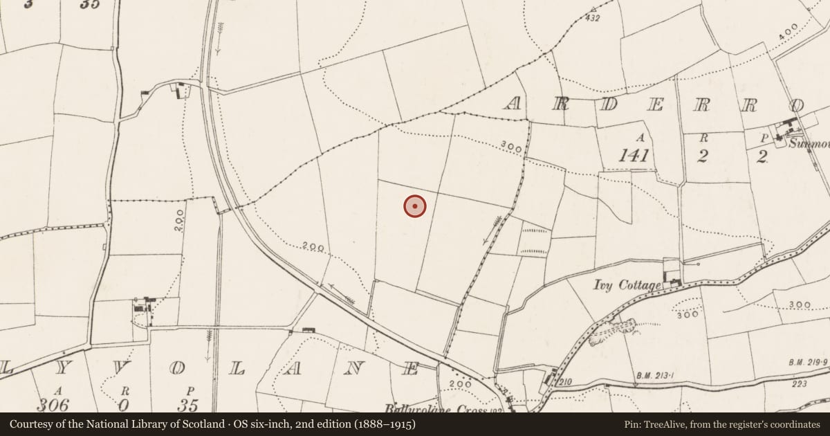Ordnance Survey six-inch map, 2nd edition (1888–1915) covering the location of Burnt mound, Ballyvolane, County Cork, with a pin at the register's coordinates