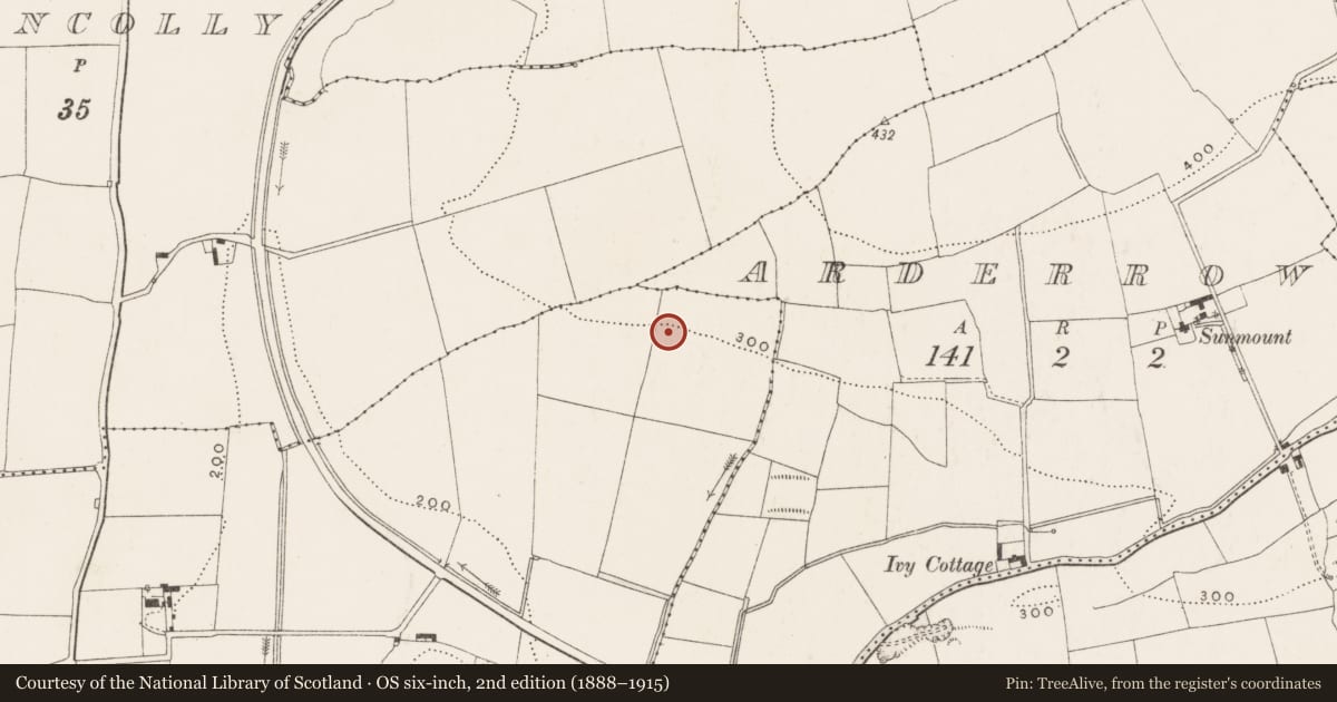 Ordnance Survey six-inch map, 2nd edition (1888–1915) covering the location of Burnt mound, Ballyvolane, County Cork, with a pin at the register's coordinates