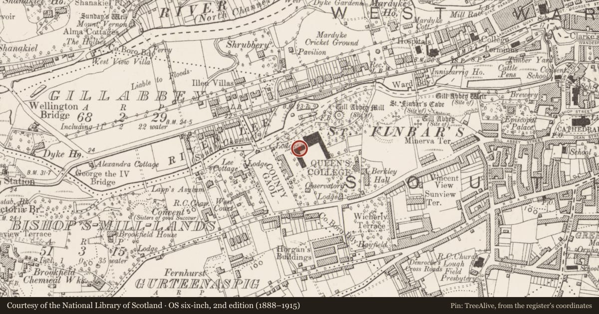Ordnance Survey six-inch map, 2nd edition (1888–1915) covering the location of Rock art (present location), Cork City, County Cork, with a pin at the register's coordinates