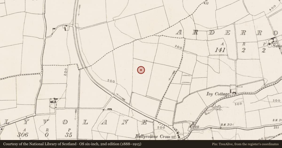 Ordnance Survey six-inch map, 2nd edition (1888–1915) covering the location of Fulacht fia, Ballyvolane, County Cork, with a pin at the register's coordinates