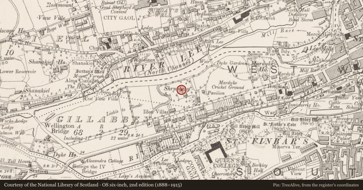 Ordnance Survey six-inch map, 2nd edition (1888–1915) covering the location of Inscribed stone (present location), Cork City, County Cork, with a pin at the register's coordinates