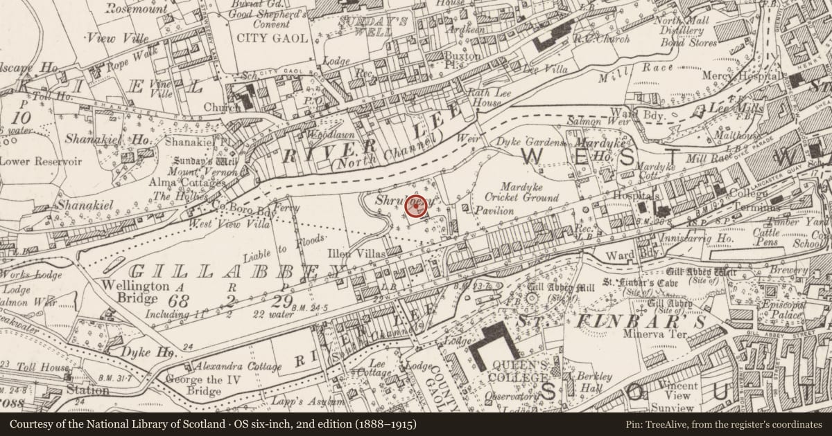 Ordnance Survey six-inch map, 2nd edition (1888–1915) covering the location of Rock art (present location), Cork City, County Cork, with a pin at the register's coordinates